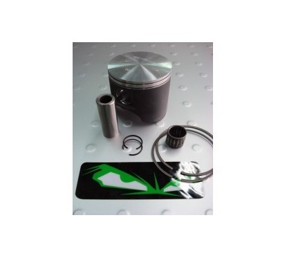 WSM USA Plunger Platinum - Jet Ski Parts - Matos import