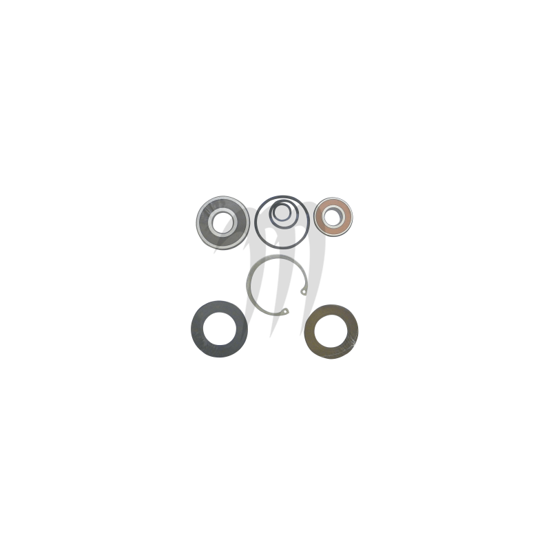 JET PUMP REPAIR KIT  , 750-ZXI .900-STS . 900-STX . 900-ZXI