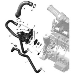 Formed Hose BRP Sea-Doo OEM 420922834