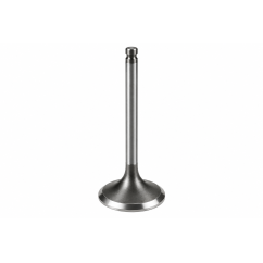 Intake Valve 38 mm BRP OEM 420253163