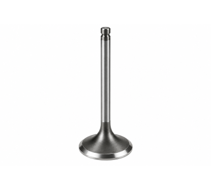 Intake Valve 38 mm BRP 420253163