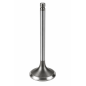 Exhaust Valve 31 mm BRP OEM 420254682