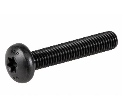Vis Torx noire M6 x 35 mm Seadoo / BRP