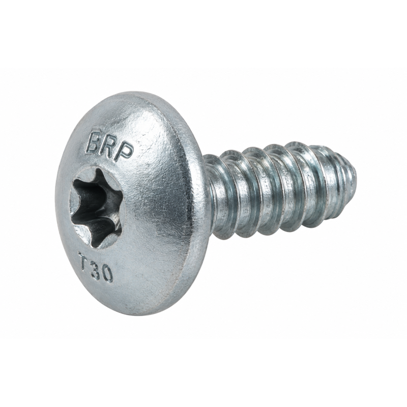 Vis Torx T30 Taptite M6 x 12 mm Sea-Doo / BRP Vis Torx T30 Taptite M6 x 12 mm Sea-Doo / BRP