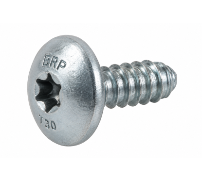 Vis Torx T30 Taptite M6 x 12 mm Sea-Doo / BRP