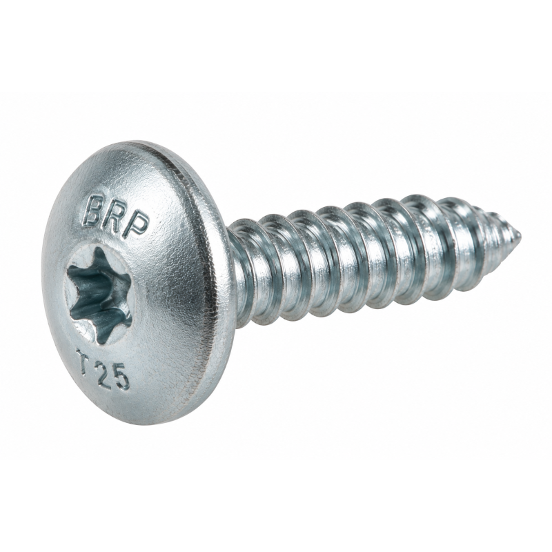 Vis Torx M6 x 20 mm Sea-Doo / BRP Vis Torx M6 x 20 mm Sea-Doo / BRP