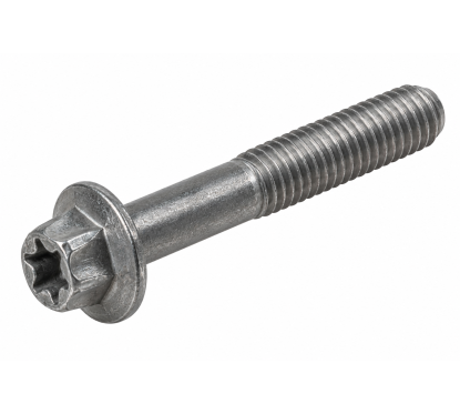 Vis Torx à collerette M6 x 35 mm Seadoo / BRP