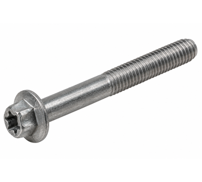 Vis Torx à collerette M6 x 55 mm BRP