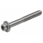 Vis Torx à collerette M6 x 55 mm BRP