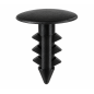 ANCRAGE_SAPIN