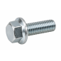 Vis hexagonale à collerette M8 x 20 mm BRP – 207682044