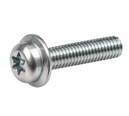 Vis Torx M6 x 25 mm Seadoo / BRP – 250000942