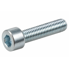 Vis BTR six pans creux M6 x 25 mm BRP – 205062544